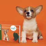 Pet Branded Merchandise Catalogue