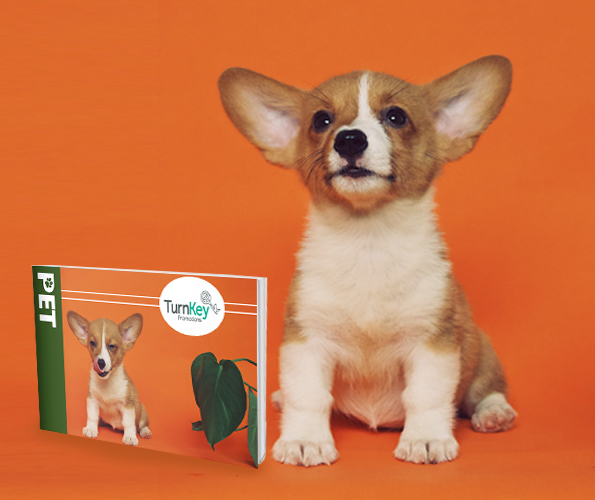 Pet Branded Merchandise Catalogue