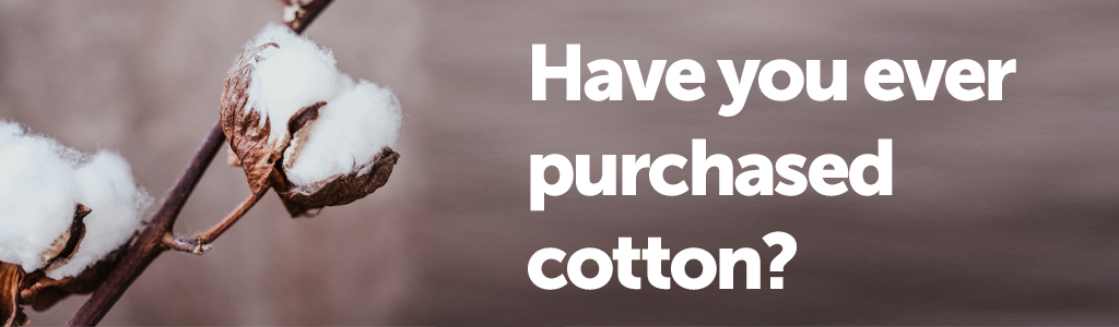 Have you ever purchased cotton?